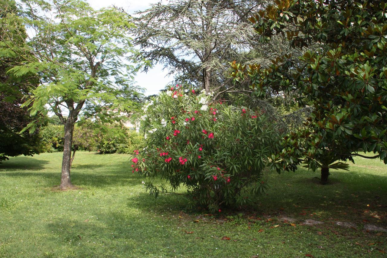 Villa Manon Mouans-Sartoux Kültér fotó